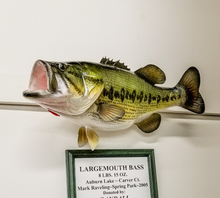 Minnesota Fishing Museum and Hall of Fame (Little&nbspFalls,&nbspMN)